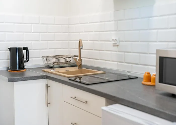 Invest Sowa A I B 公寓 *