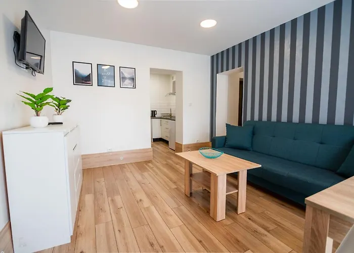 Invest Sowa A I B 公寓 *